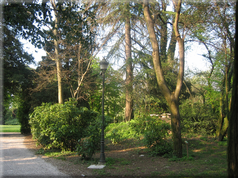 foto Parco Sebellin in Primavera